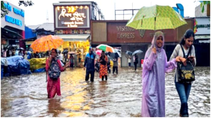 maharashtra rain qMaharashtra Weather: IMD issues alert for heavy rain, gusty winds – Check forecast for Mumbai, Thane, Pune, other districts