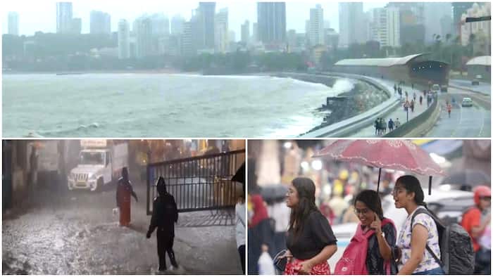 maharashtra weather high alert high tide mumbai