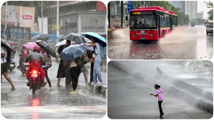 maharashtra weather mumbai imd forecast