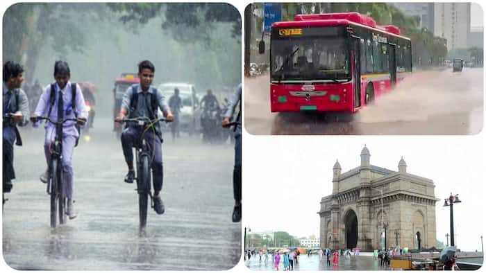 maharashtra weather mumbai rains school closed