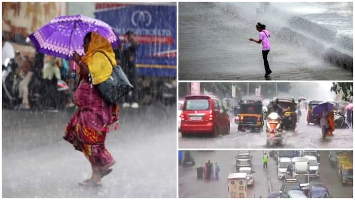 mumbai rain imd weather