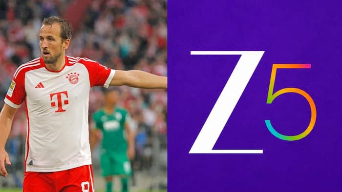ZEEL acquires Bundesliga rights