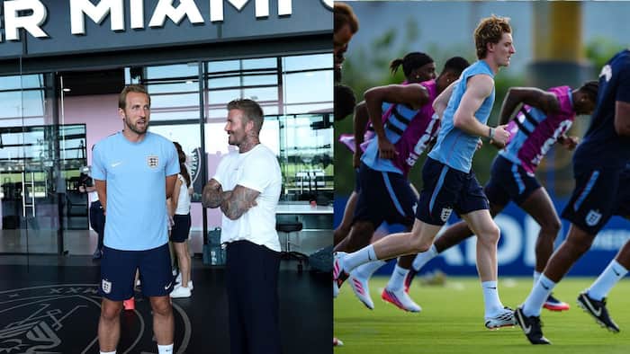 David Beckham Harry Kane
