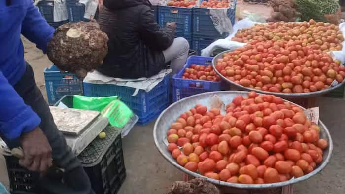tomato vegetable prices jaipur