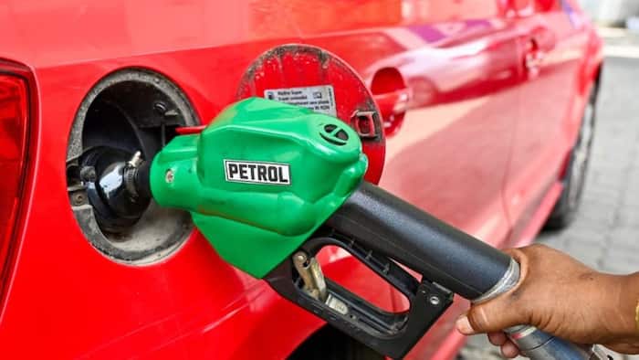 Is India ready for nationwide E20 petrol rollout? Vehicle compatibility, Fuel infrastructure, Ethanol availability; Explained