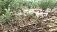 Jammu and Kashmir: Cloudburst triggers flash flood in Anantnag's Chittergul, residential areas damaged