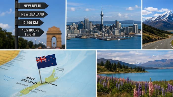 India New Zealand distance