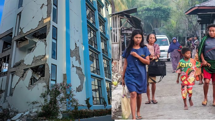 Earthquake deaths