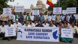 Karnataka Bandh: Is Bengalurus Kempegowda International Airport open or closed today amid statewide shutdown? Authorities say...