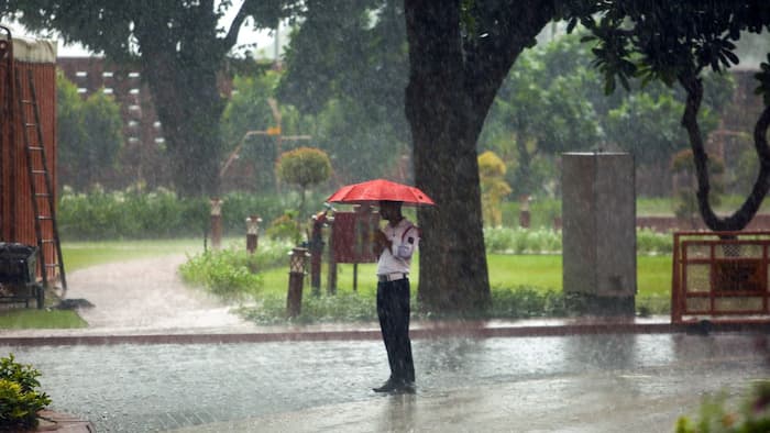 Delhi rainfall