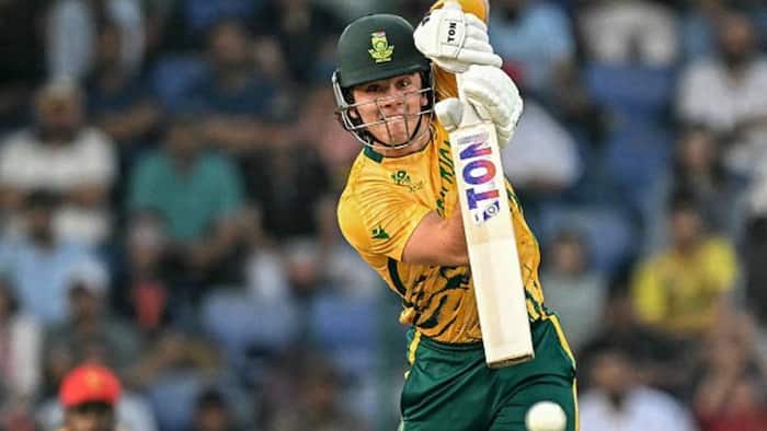 Dewald Brevis