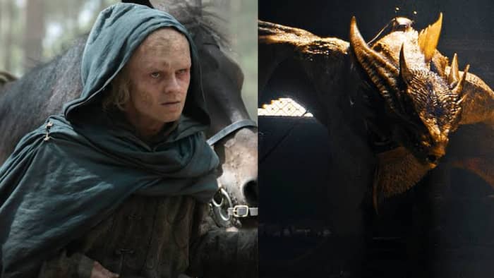 House of the Dragon Season 3 episode 7 review: Aegon Targaryen's return and Sunfyre ignite the road to finale