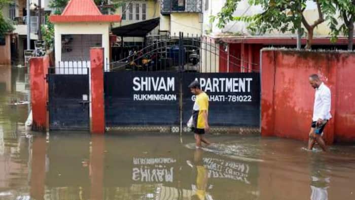 Assam Flood Update: Situation worsens in Sivasagar and Biswanath districts, death toll rises to 95 as 6 more persons die