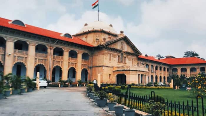 No hijab or scarf: Allahabad High Court dismisses petition seeking permission to wear headscarf in school