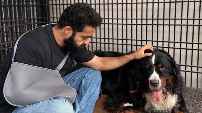 Jr NTR mourns pet dog Bagheera’s death: ‘A kind of comfort only you could give’