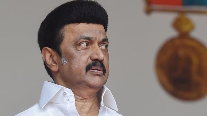 ‘Reels creator, dummy CM’: MK Stalin’s explosive attack on Vijay after son Udhayanidhi’s release