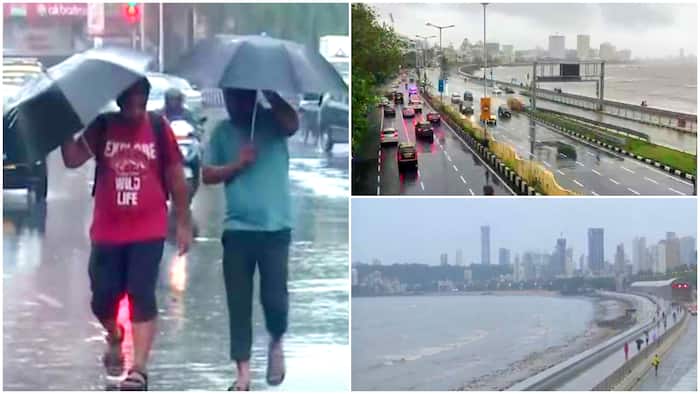 Maharashtra Weather mumbai rain forecast