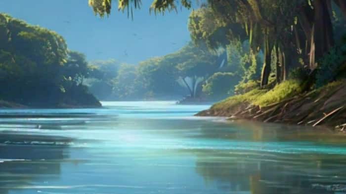 Mekong Delta