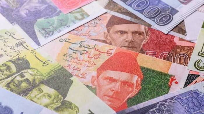 Pakistan currency circulation
