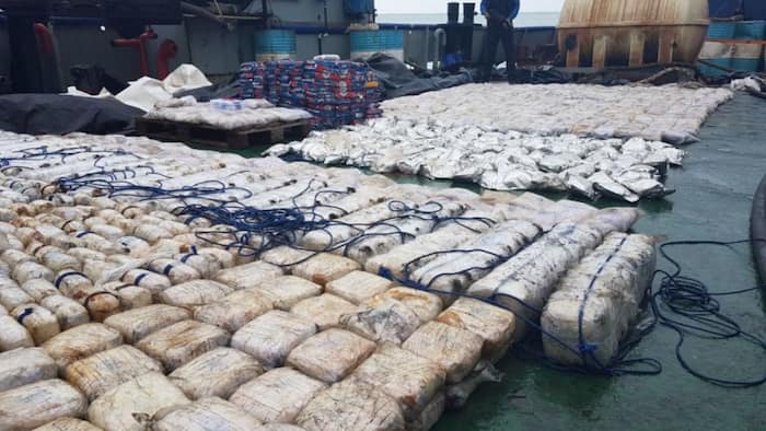 drug syndicate, India, Dubai, Delhi, Gujarat, Punjab, Mumbai, Goa, Virendra Singh Basoya, Veeru, UAE, Delhi Police Special Cell, drugs, Mahipalpur Extension, Tushar Goyal, Himanshu Kumar, Aurangzeb Siddiqui, cocaine, hydroponic marijuana, Jatinder Singh Gill, Jassi, Amritsar Airport, Ravindra Basoya, Ramesh Nagar, Aavkar Drug PvtLtd, Ankleshwar