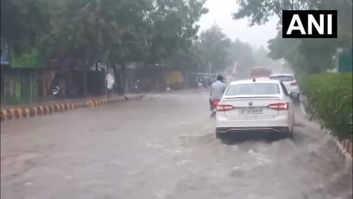 Heavy rainfall forecast, Delhi-NCR, IMD, Red Alert, New Delhi, Heavy rain, Delhi, NCR, Noida, Gurugram, waterlogging, traffic, heavy rainfall, humidity, traffic jams, IMD forecast, Faridabad, Ghaziabad, India Meteorological Department