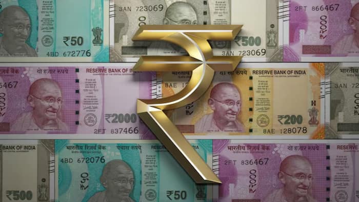 RBI Polymer Plastic Notes