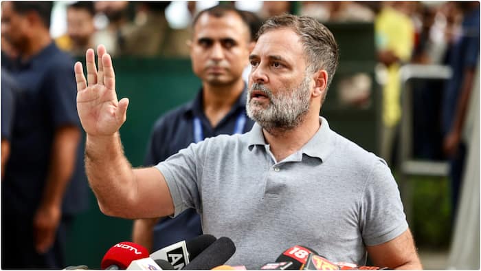 Rahul Gandhi responds to Amit Shah's remark, says opposition not interested in Home Minister's 'lecture'; must answer who ordered firing at students