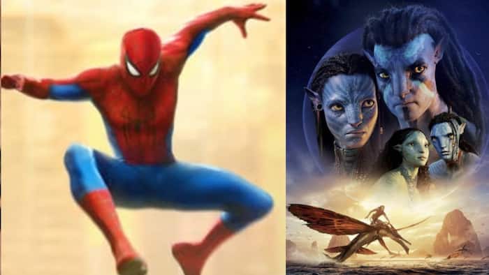 Spider-Man: Brand New Day Box Office Collection Day 11: Tom Holland's film surpasses Avatar 2, becomes highest-grossing Hollywood film in India