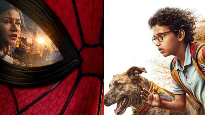 Box office: Spider-Man: Brand New Day holds strong; here’s how Oh My Dog, DC: The Bloody Valentine and The Odyssey are performing