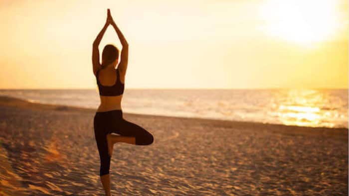 Tree Pose