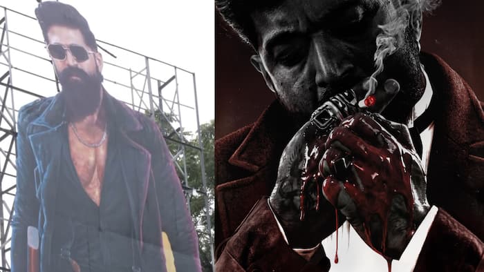 Toxic: Housefull shows to firecrackers, Yash fans turn theatres into a festival across Karnataka, Hyderabad, and Bengaluru - Watch