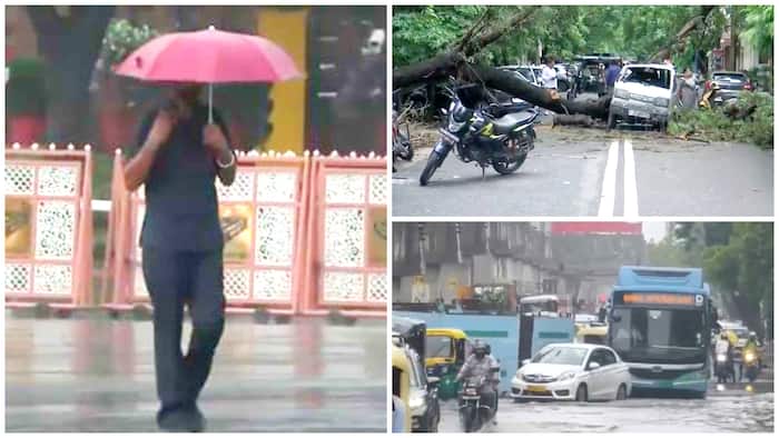 delhi rain