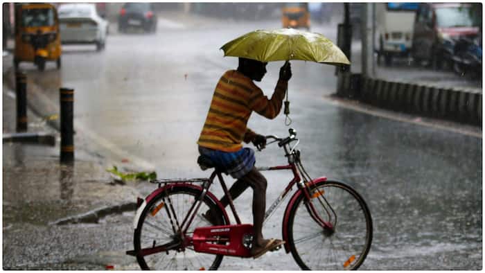 delhi weather