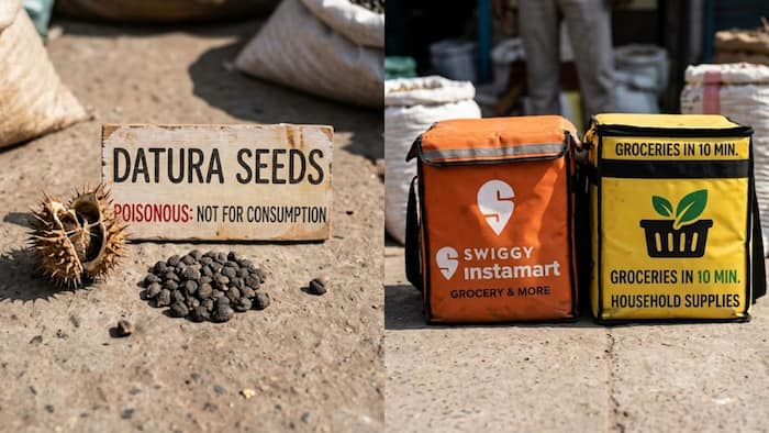 Poisonous Datura seeds sold online: Karnataka FDA suspends food licences of Amazon, Swiggy, BigBasket, Instamart