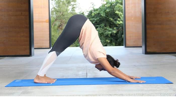 Downward dog pose