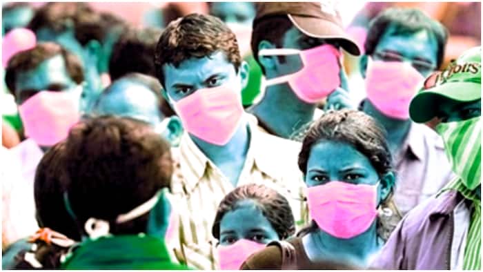 h1n1 swine flu