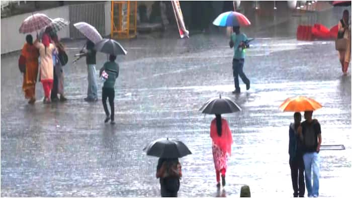 imd weather