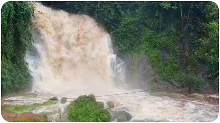 keralam rain landslides