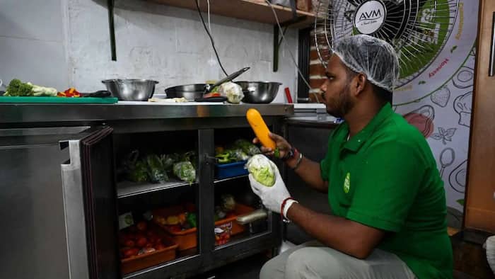 Expired milk to rotten vegetables: Bengaluru 5-star hotel inspections reveal food safety lapses