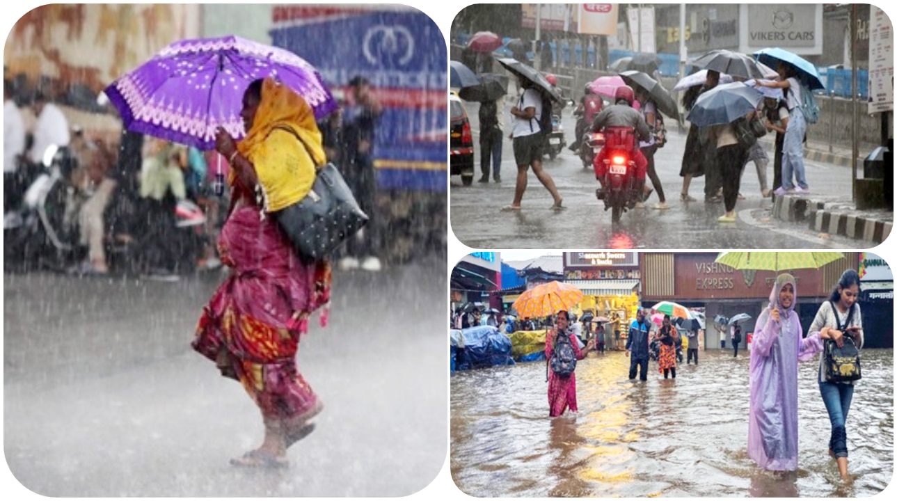 Maharashtra weather August 21: IMD issues rain alert for these districts, will schools be closed today – check forecast for Mumbai, Palghar, Thane, Pune