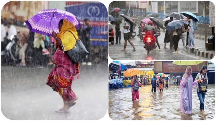 maharashtra weather imd forecast mumbai school closed