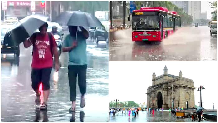 maharashtra weather school closed