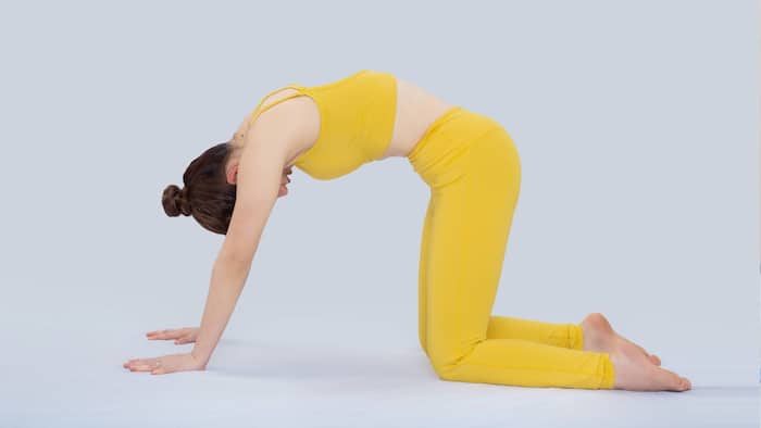 Marjariasana