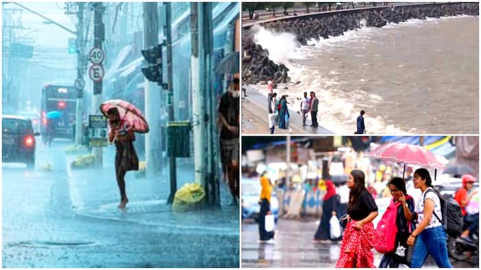 mumbai weather maharashtra rain school closed