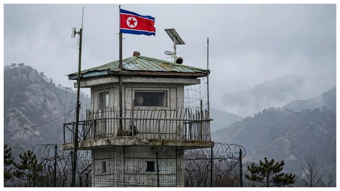 Kim Jong Un Country Protest