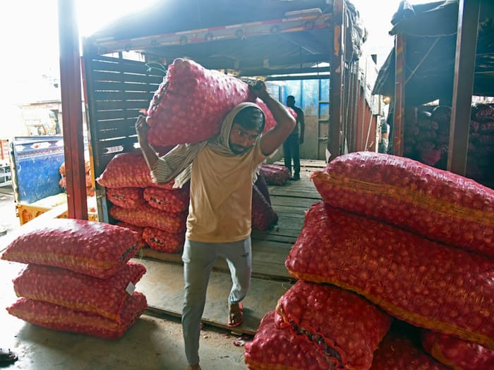 onion price