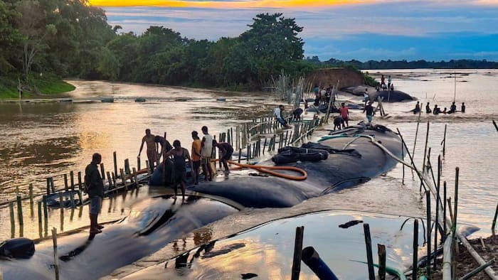 Assam Floods: Death toll rises to 103, affected population falls to 87000; IMD predicts widespread rain till August 18