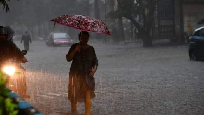 Uttar Pradesh rain alert: Heavy rain expected in this region for next four days; forecast for other states