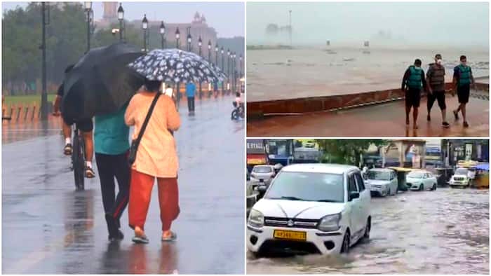 weather forecast imd rain