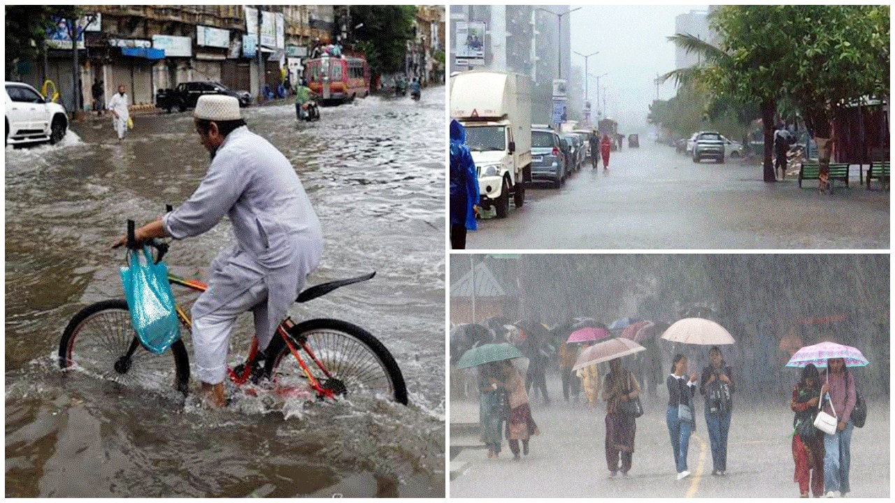 Weather Warning August 22: IMD alerts heavy rain in 20 states, will schools be closed? – Check forecast for Maharashtra, Delhi, Himachal, Uttarakhand